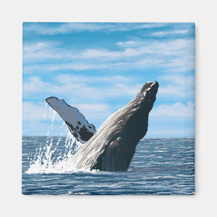 MaineHumpback valplats Magnet