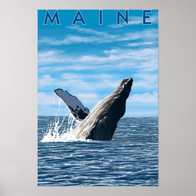 MaineHumpback Whale Scene Poster (Framsidan)
