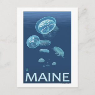 MaineJellyfish Scene Vykort