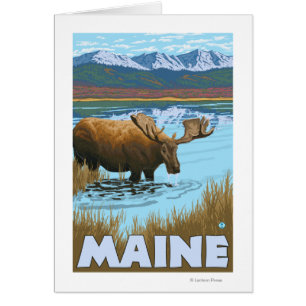 MaineMoose Drinking i Sjö Hälsningskort