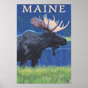 MaineMoose i månsken Poster