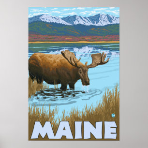 MaineMoose som dricker i sjön Poster