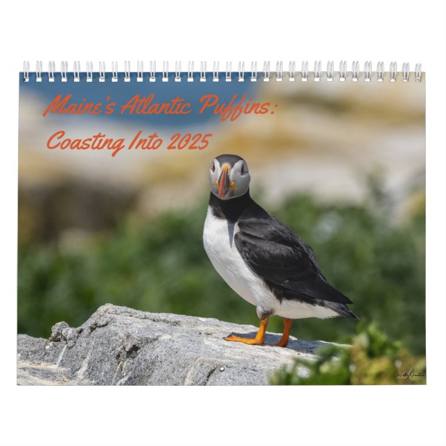 Maine's Puffins: Costing to 2025 Calendar Kalender (Omslag)