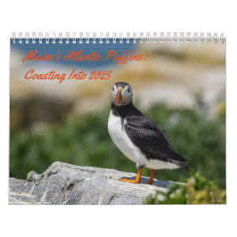 Maine's Puffins: Costing to 2025 Calendar Kalender