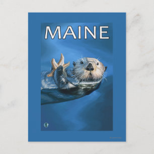 MaineSea Otter Scene Vykort