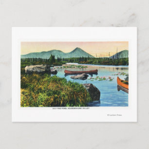 MaineSourdnahunk Valley Lily Pad Pond Scene Vykort