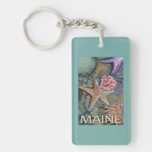 MaineTidepool plats