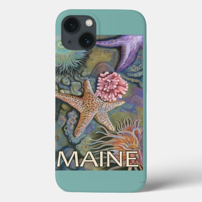 MaineTidepool plats (Baksida)
