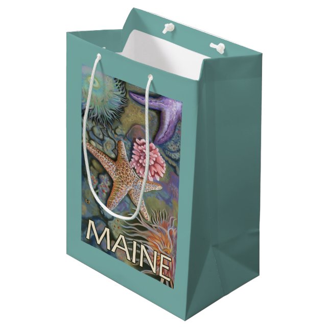 MaineTidepool plats (Framsidan Vinklad)