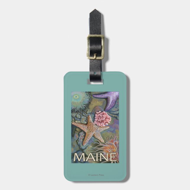 MaineTidepool plats Bagagebricka (Vertikal Framsida)