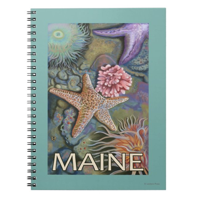 MaineTidepool Scene Anteckningsbok Med Spiral (Framsidan)