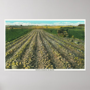 MaineView av en potatislantgård i Maine Poster