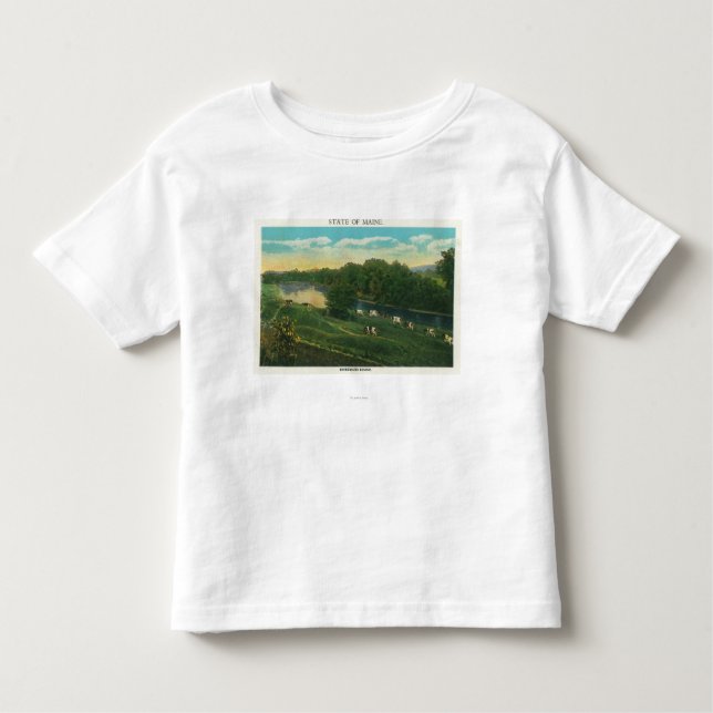 MaineView av kor begränsar Homeward Tee Shirt (Framsida)