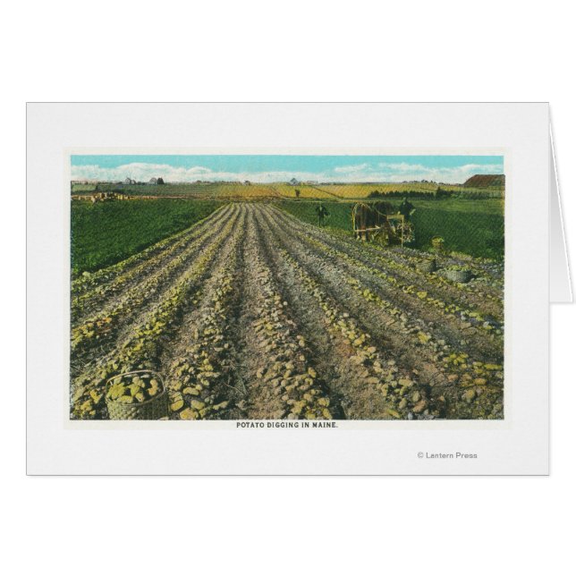 MaineView of a Potato Farm in Maine Hälsningskort (Framsidan Horizontal)