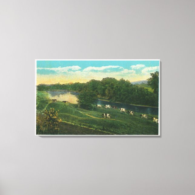 MaineView of Cows Homeward Bound Canvastryck (Framsida)