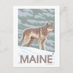 MaineWolf Scen Vykort