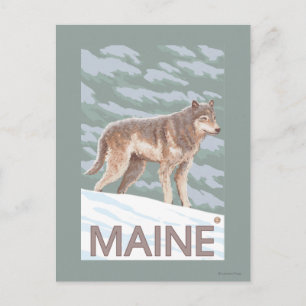 MaineWolf Scene Vykort