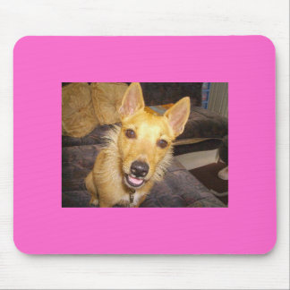 "Maisie" jacken Russell Musmatta