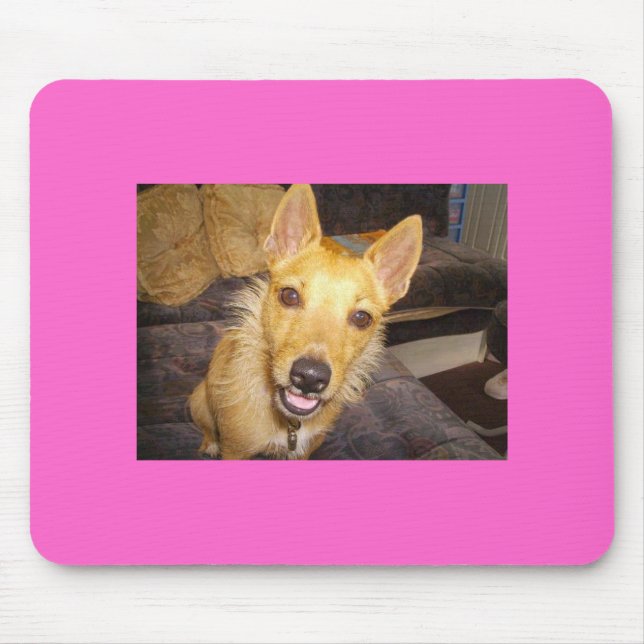 "Maisie" jacken Russell Musmatta (Framsidan)
