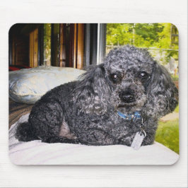 Maitai pudeln, musblock musmatta