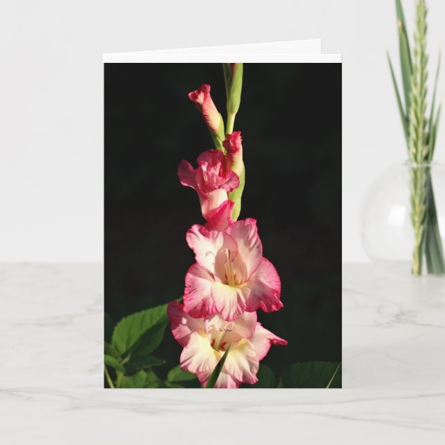 Maj din hjärta är glad, Gladiola Kort (Framsida)