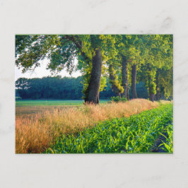 Maj Fält Gräns Vykort