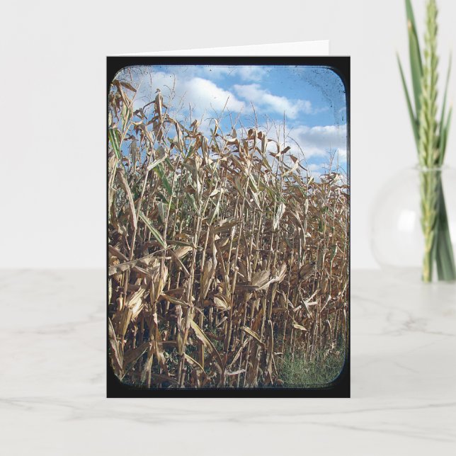 Maj Fält TTV Kort (Framsida)