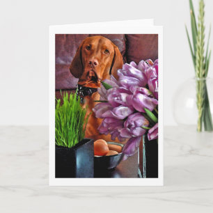 Maj har jag ett av de ägg? helgkort