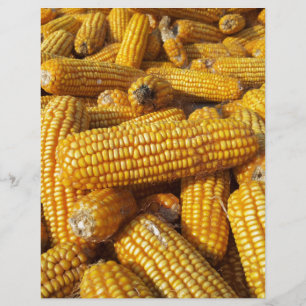Maj Harvest