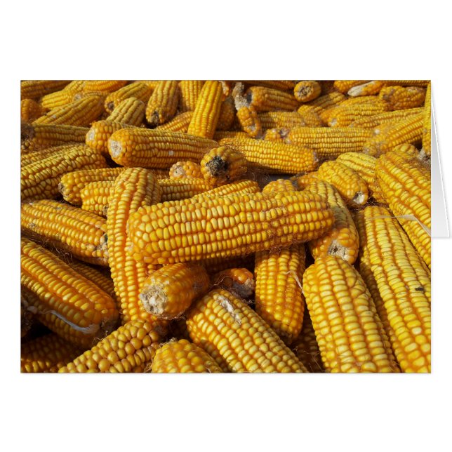 Maj Harvest Hälsningskort (Framsidan Horizontal)