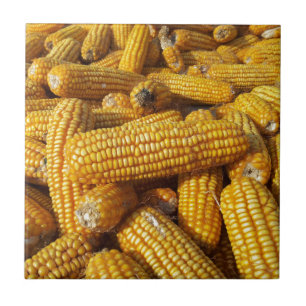 Maj Harvest Kakelplatta