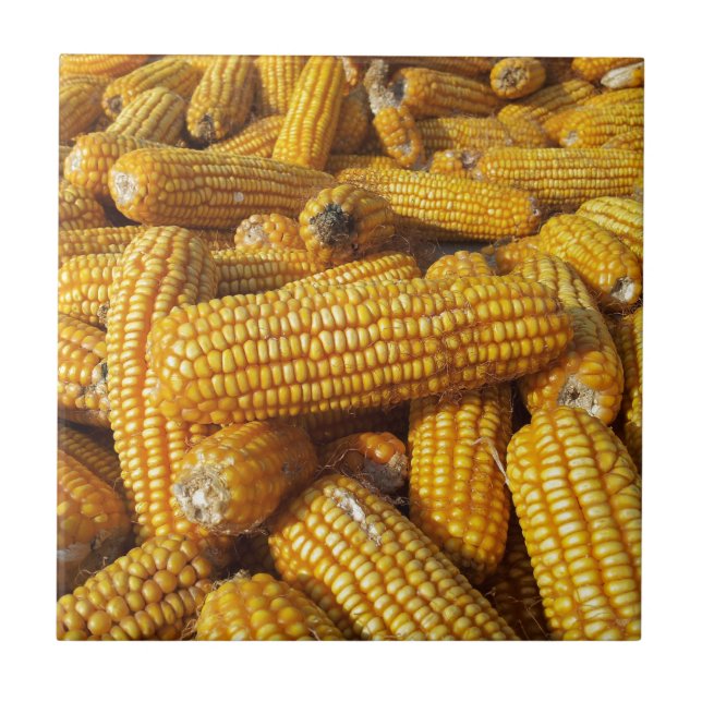 Maj Harvest Kakelplatta (Framsidan)