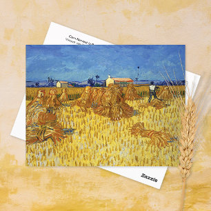 Maj Harvest Provence Vincent van Gogh Vykort