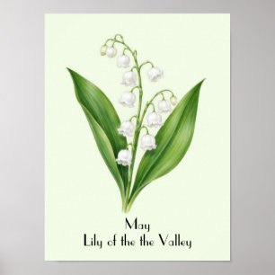 Maj Liljekonvaljblommor Poster