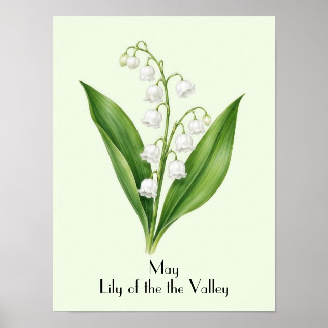 Maj Liljekonvaljblommor Poster (Framsidan)
