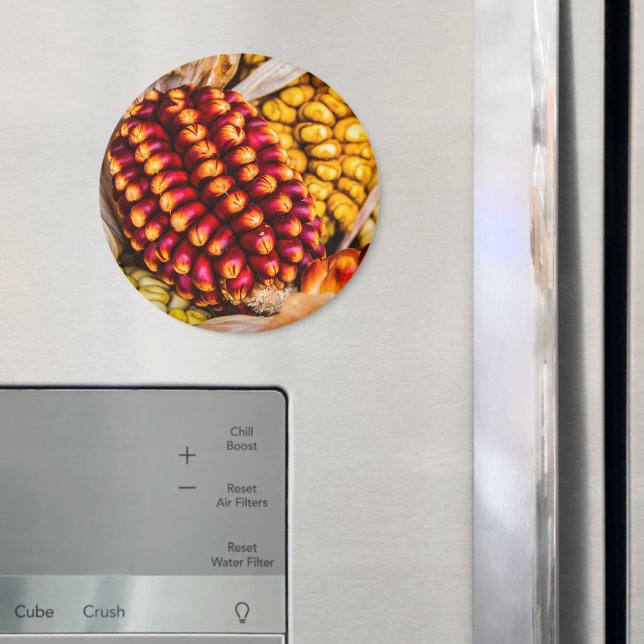 Maj Magnet (In Situ (Fridge))