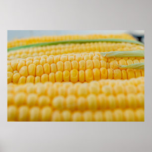 Maj maj på maj kernels kust poster