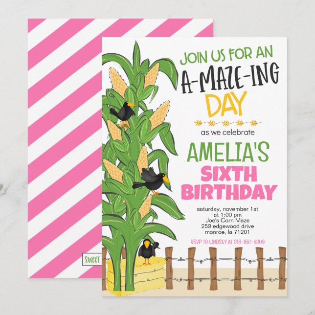 Maj Maze Girl Birthday Inbjudningar (Fram/baksida)