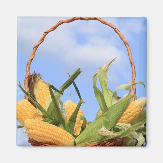 Maj om Cob Magnet (Framsidan)