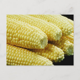 Maj om Cob Vykort