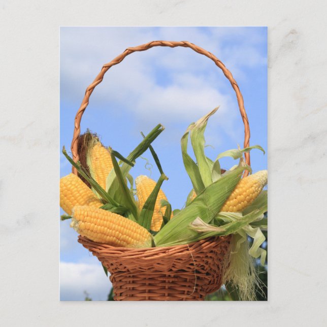 Maj om vykort för mynt (Framsida)