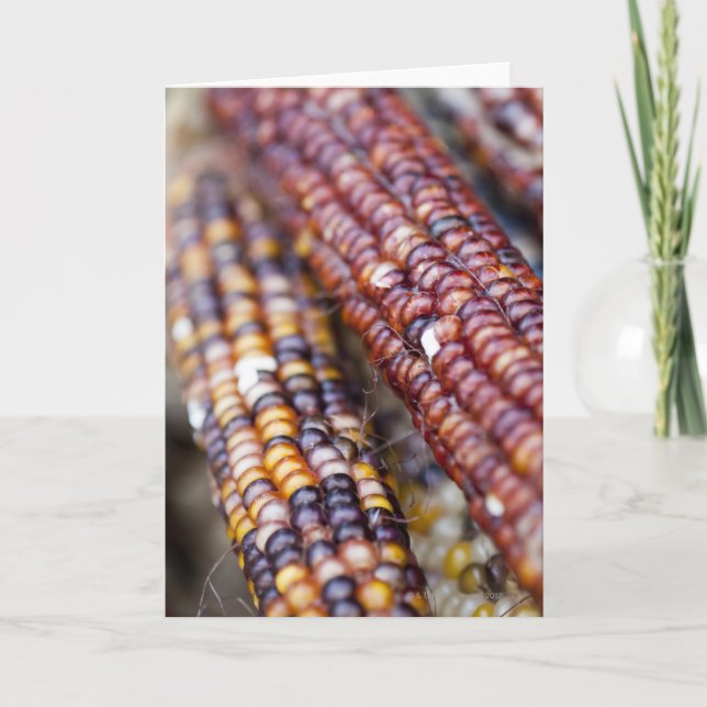 Maj på unionen kvadrerar Greenmarket, nytt Y Kort (Framsida)