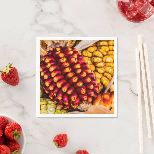 Maj Pappersservett (Insitu)