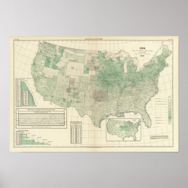 Maj per planterad hektar poster (Framsidan)