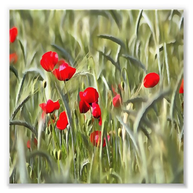 Maj Poppies Fototryck (Framsidan)