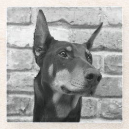 Maj slickar jag ditt ansikte