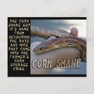 MAJ SNAKE VYKORT