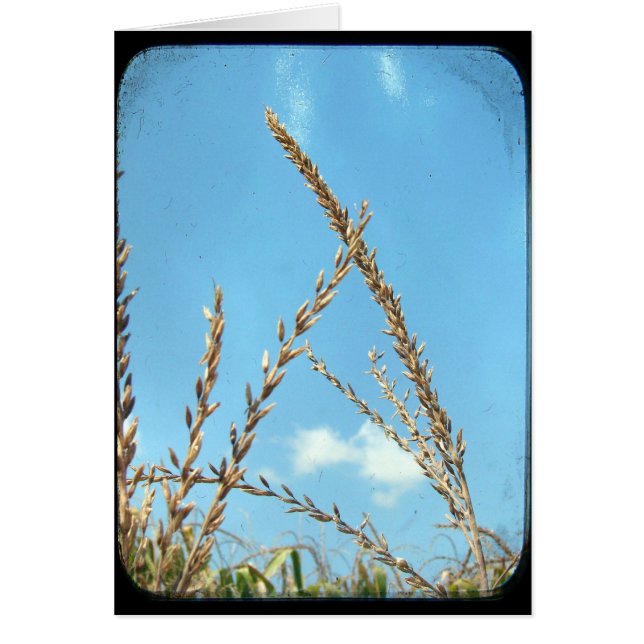 Maj till Himlar Hälsningskort (Framsidan)