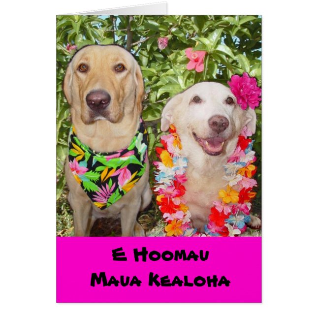 Maj vår kärlekjumboför evigt! hälsningskort (Framsidan)