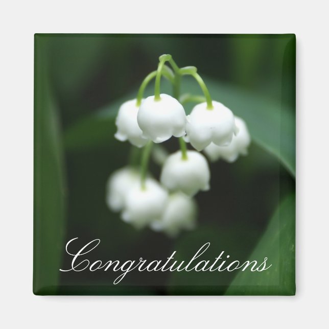 Maj vita liljor magnet (Framsidan)